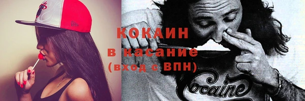PSILOCYBIN Вязники