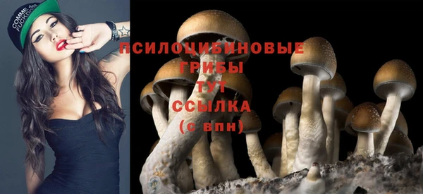 PSILOCYBIN Вязники
