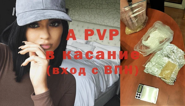 PSILOCYBIN Вязники