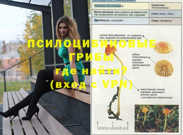 дмт Вязьма
