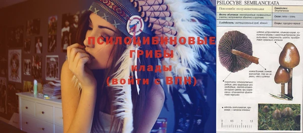 PSILOCYBIN Вязники
