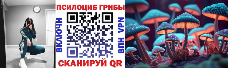 MEGA как зайти  Куса  Галлюциногенные грибы GOLDEN TEACHER 